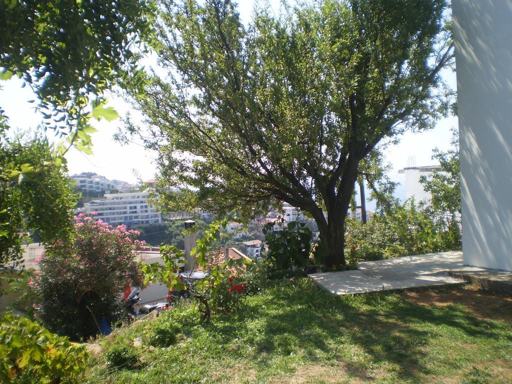 Apartment Vuk I Novak Ulcinj Exteriér fotografie