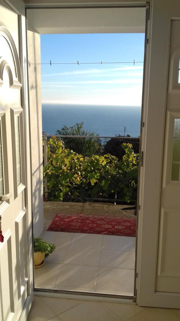 Apartment Vuk I Novak Ulcinj Exteriér fotografie