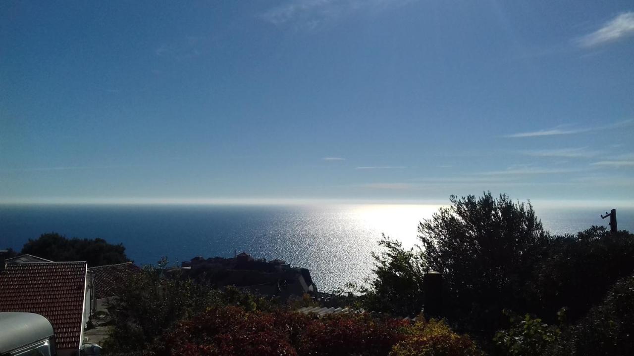 Apartment Vuk I Novak Ulcinj Exteriér fotografie